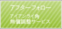 ゴルフクラブ　アイアンライ角　無償調整サービス